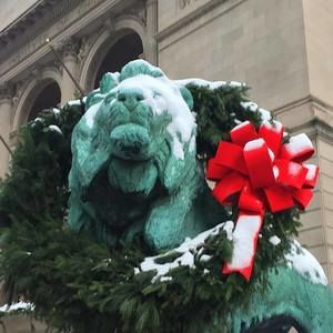 Meet your Posher, Jean